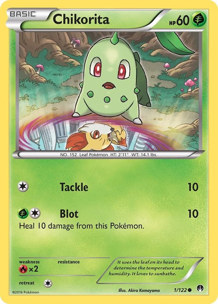Chikorita Basic
