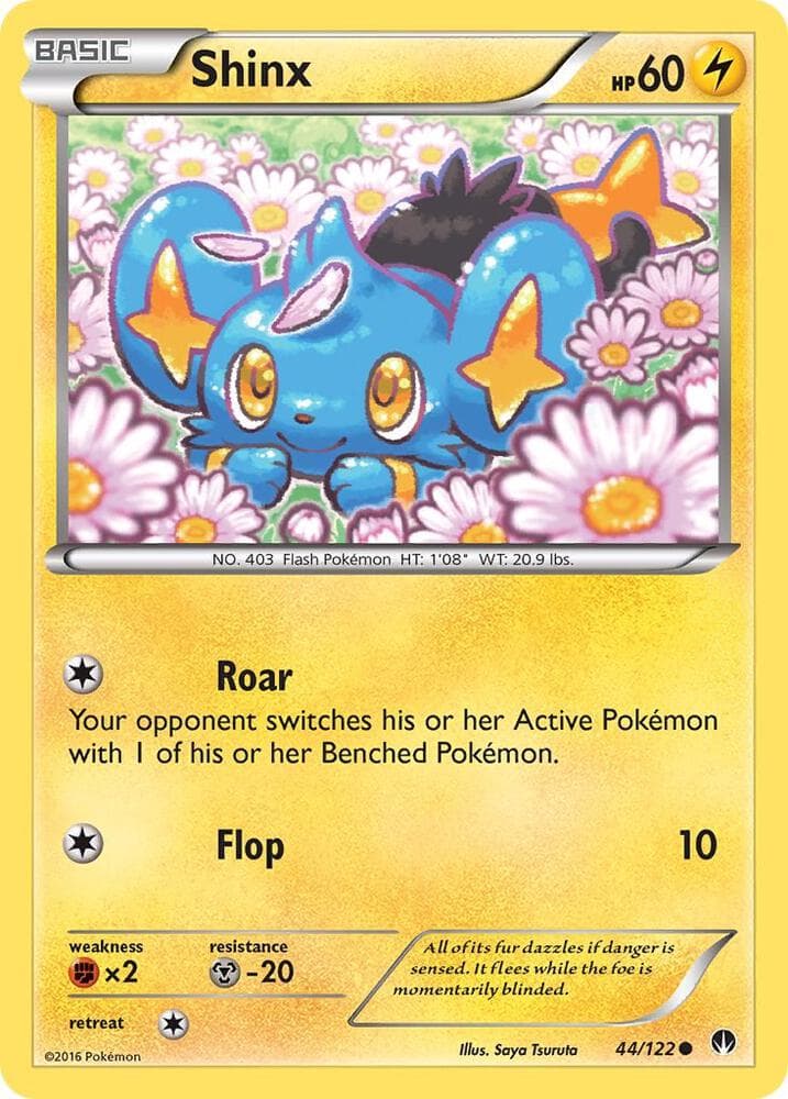 Shinx Basic