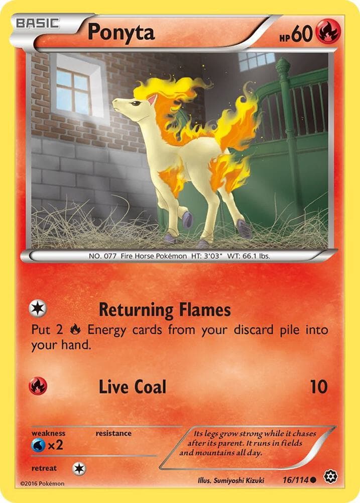 Ponyta Basic