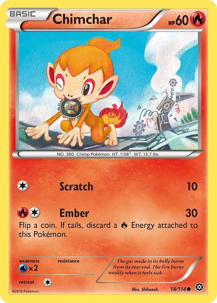 Chimchar Basic