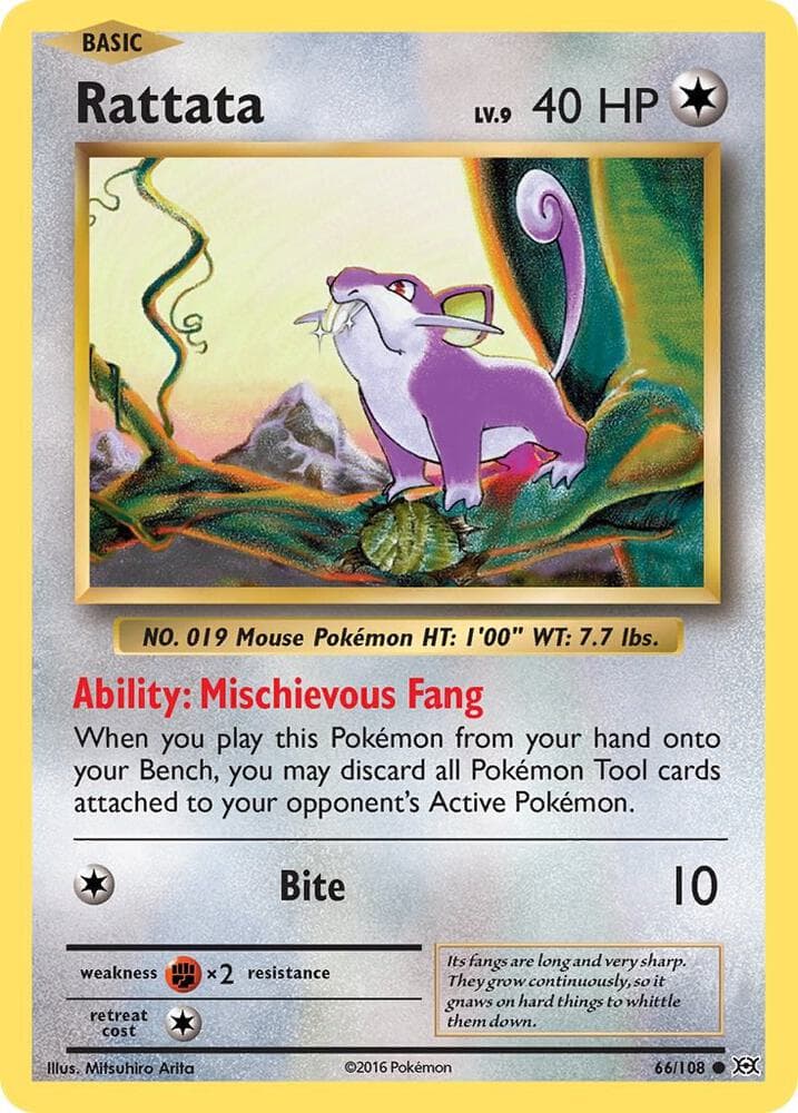 Rattata Basic