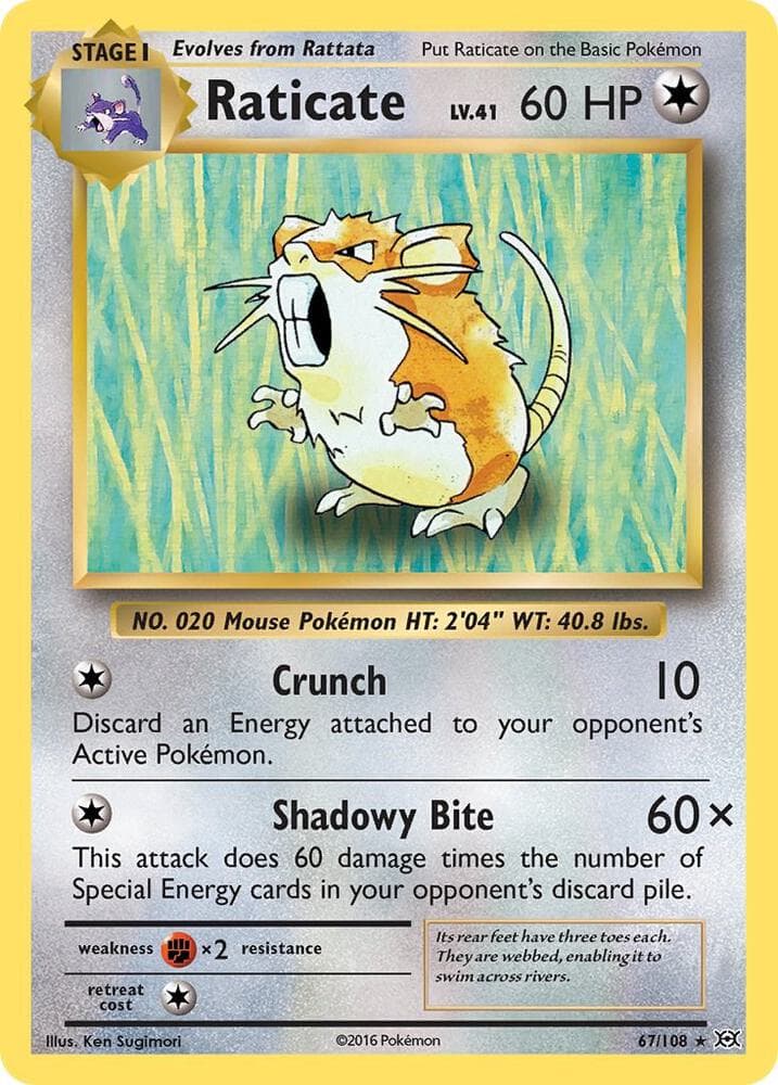 Raticate Stage 1