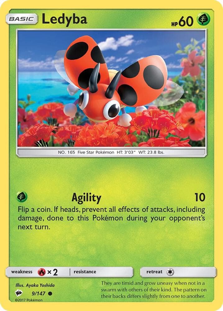 Ledyba Basic