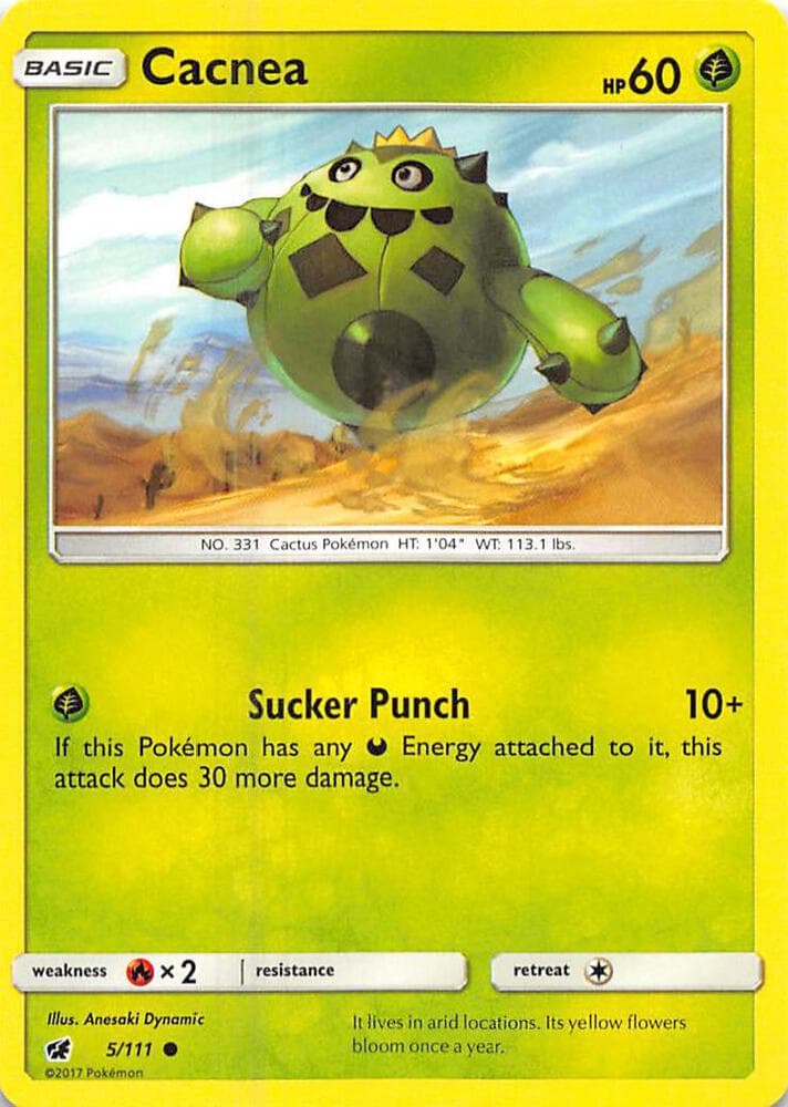 Cacnea Basic