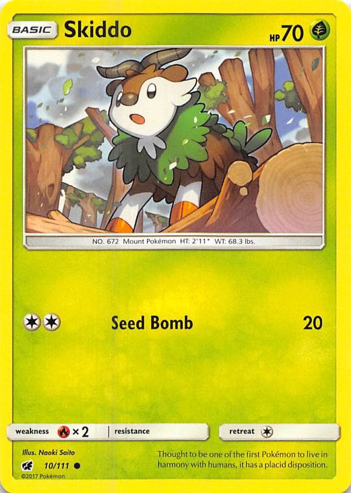 Skiddo Basic