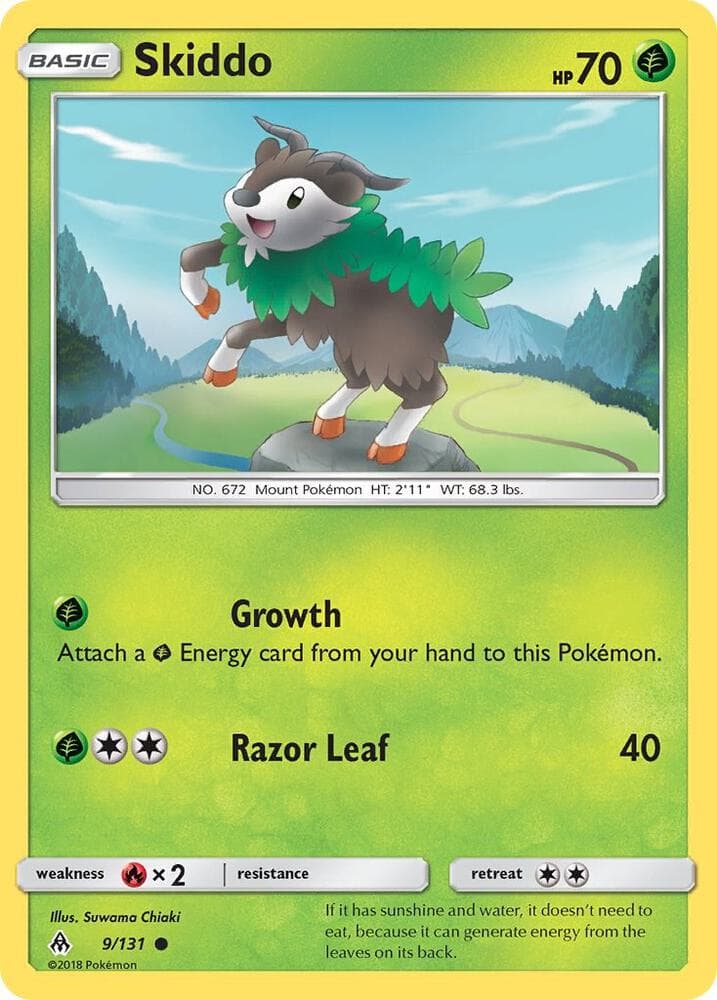 Skiddo Basic