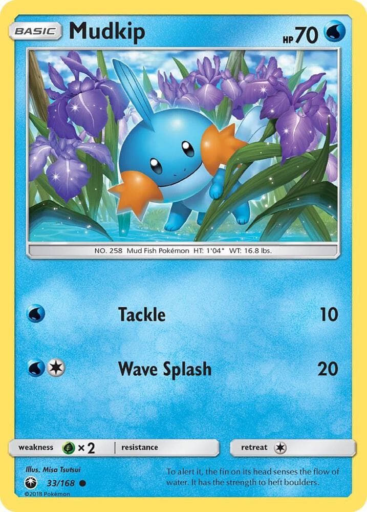 Mudkip 33 Basic