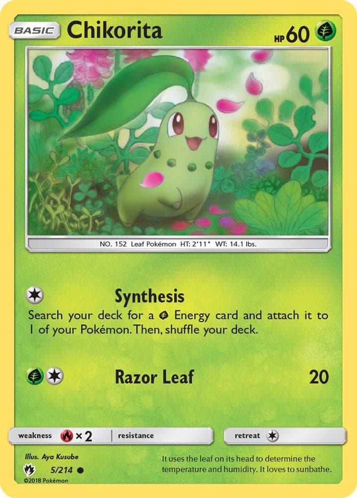 Chikorita 5 Basic