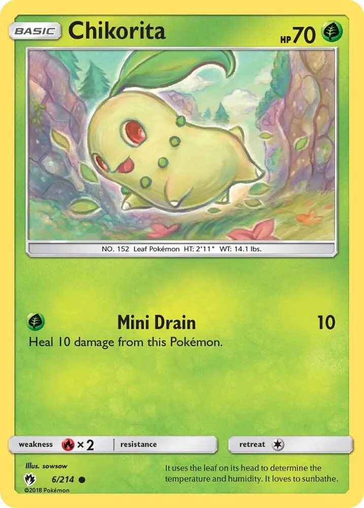 Chikorita 6 Basic