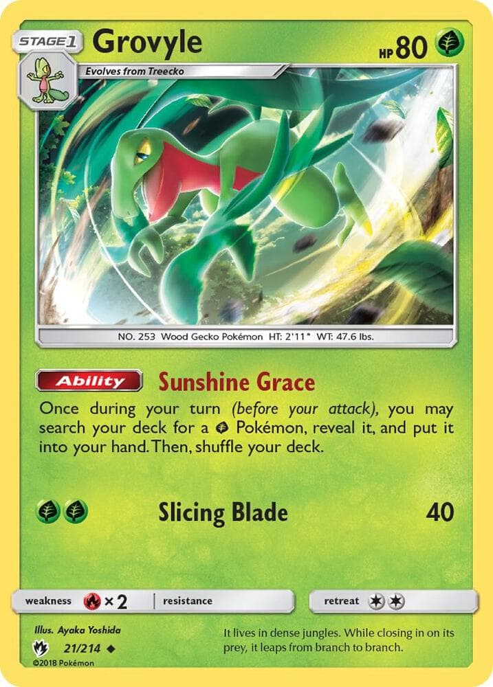 Grovyle Stage 1