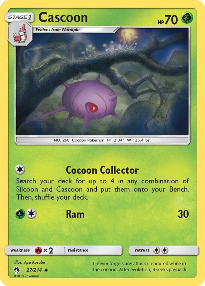 Cascoon Stage 1