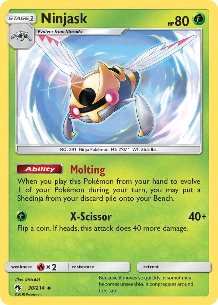 Ninjask Stage 1
