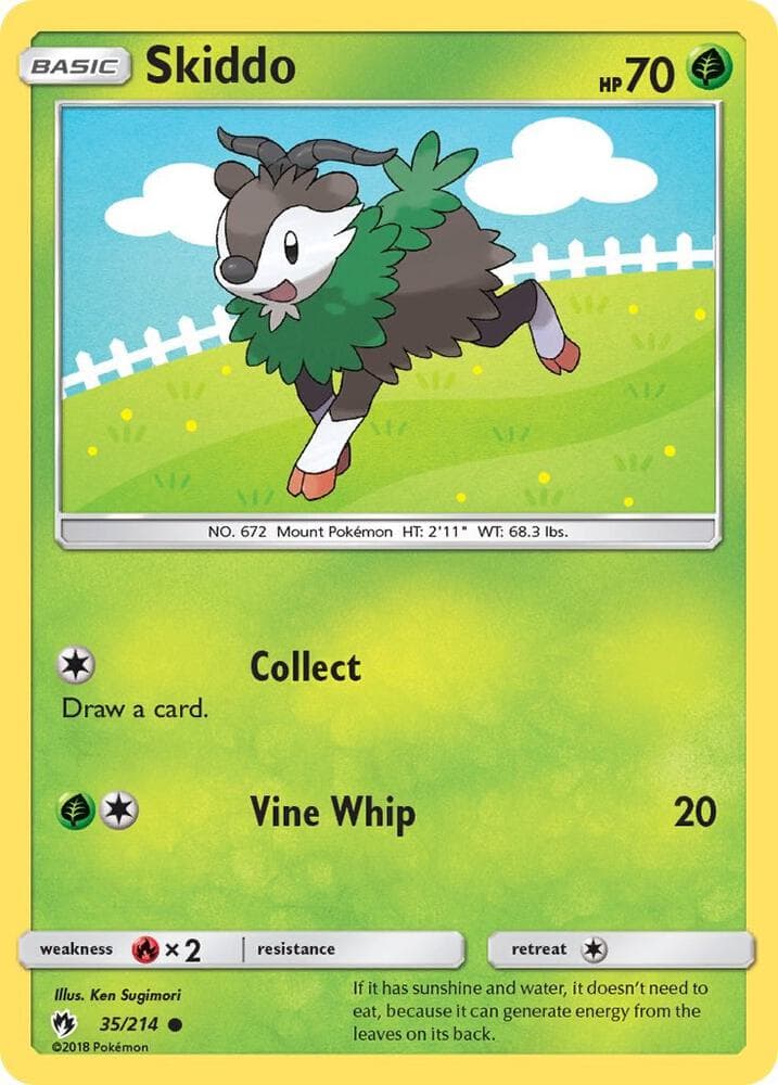 Skiddo Basic
