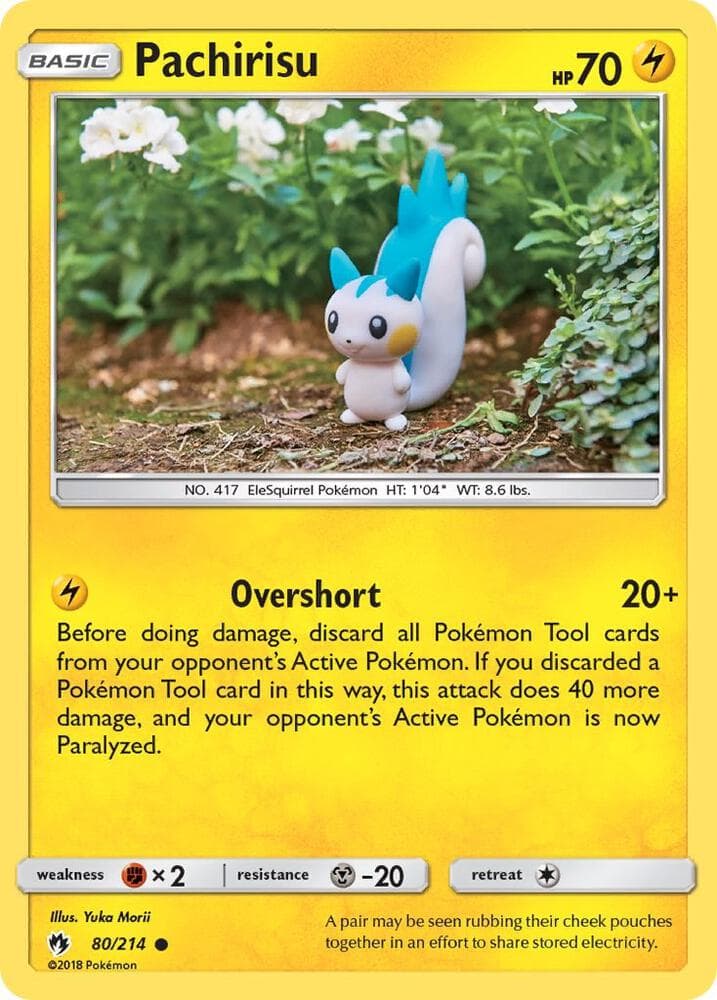 Pachirisu Basic