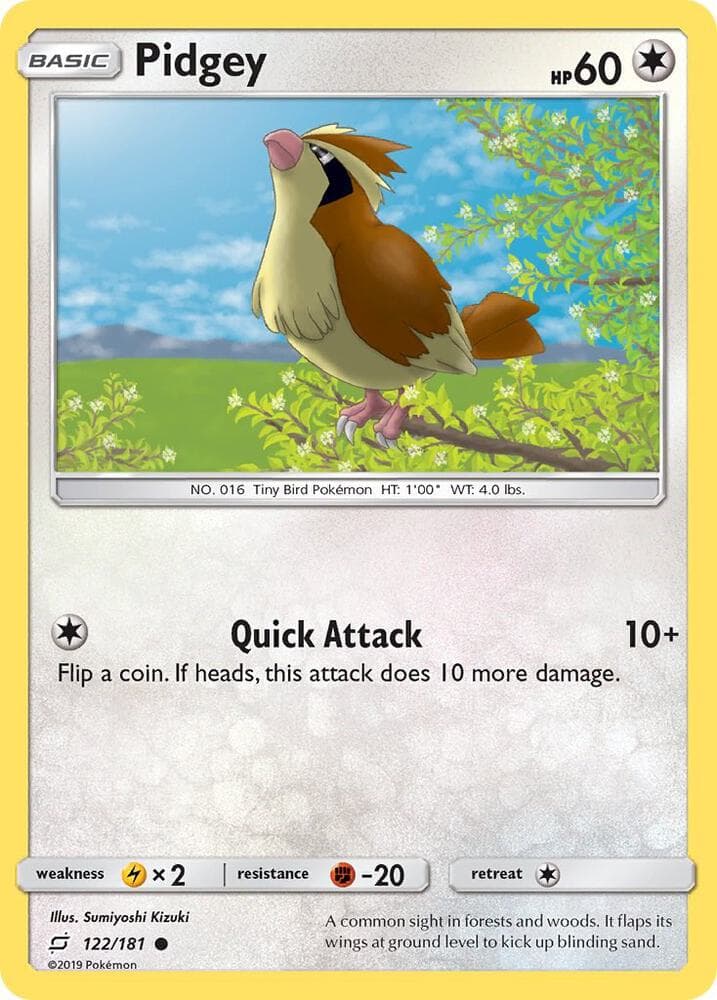Pidgey 122 Basic