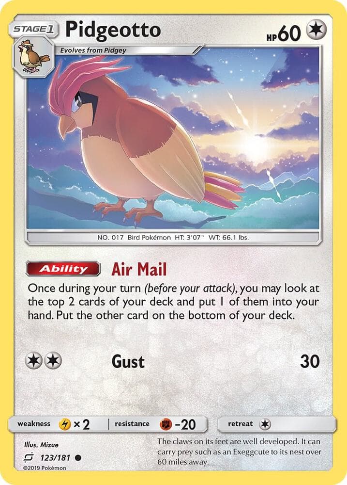 Pidgeotto Stage 1