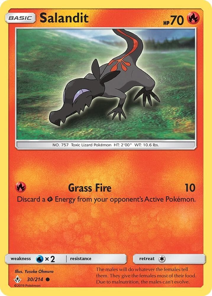 Salandit Basic