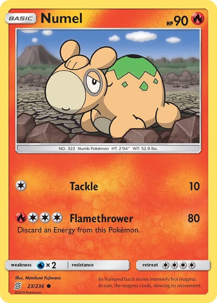 Numel Basic