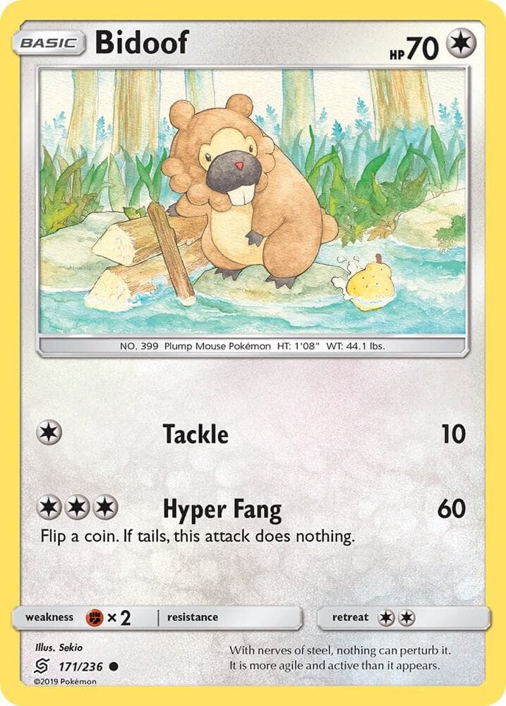 Bidoof Basic