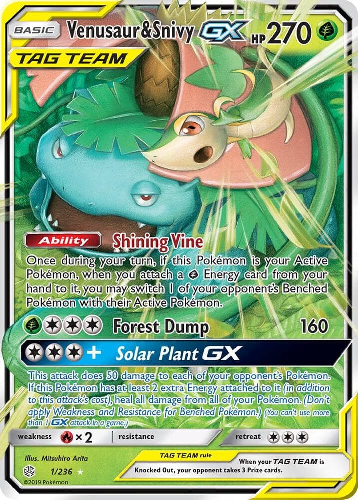 Venusaur and Snivy GX Basic