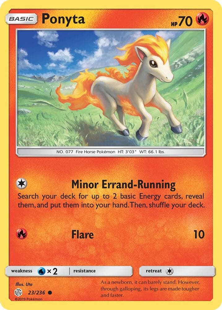 Ponyta Basic