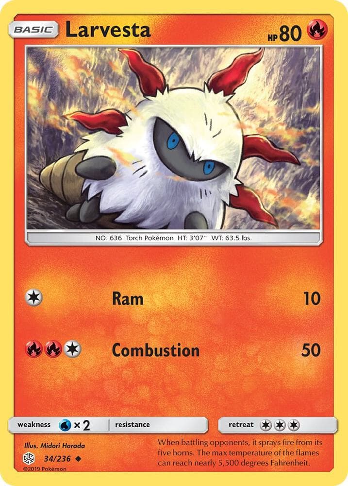 Larvesta Basic