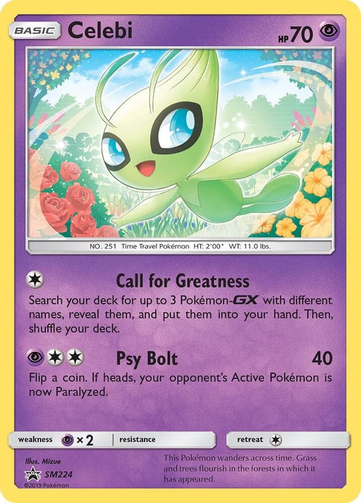 Celebi SM224 Basic