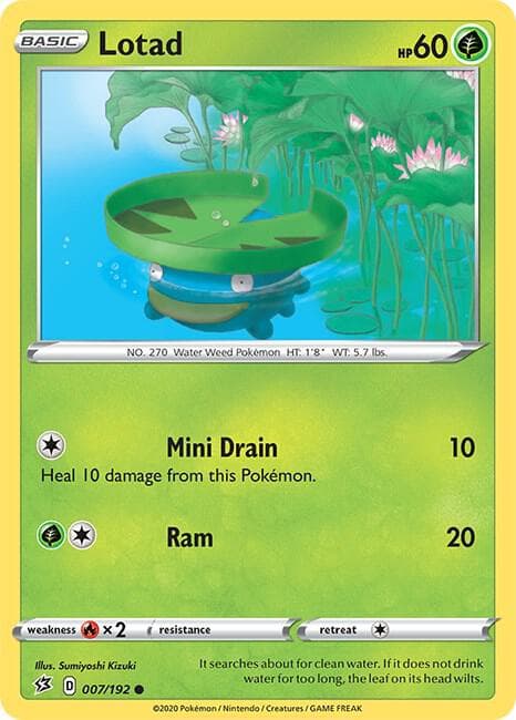 Lotad Basic