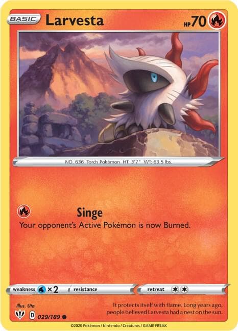 Larvesta Basic