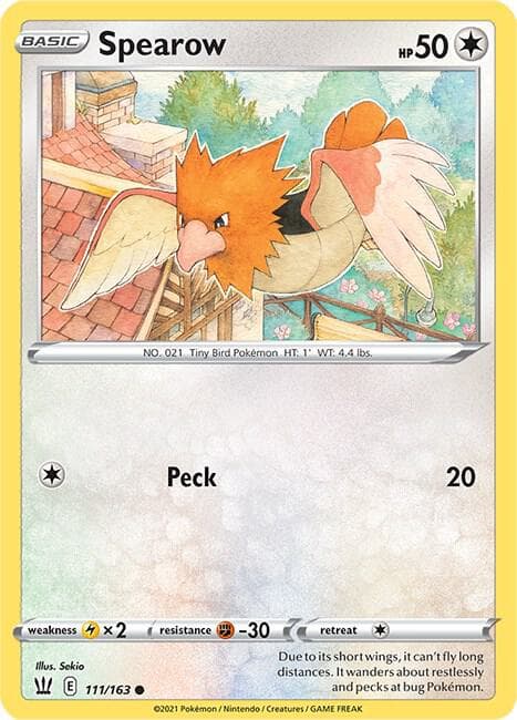Spearow Basic