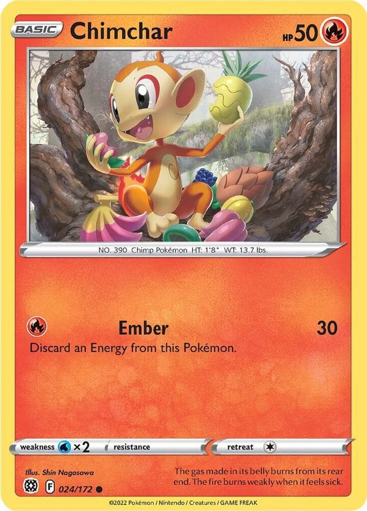 Chimchar Basic