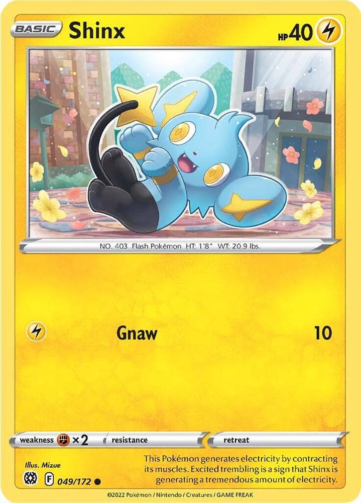 Shinx Basic