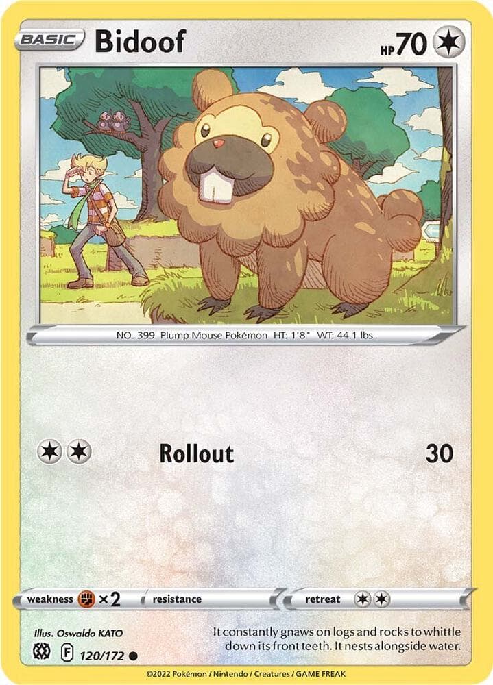 Bidoof Basic