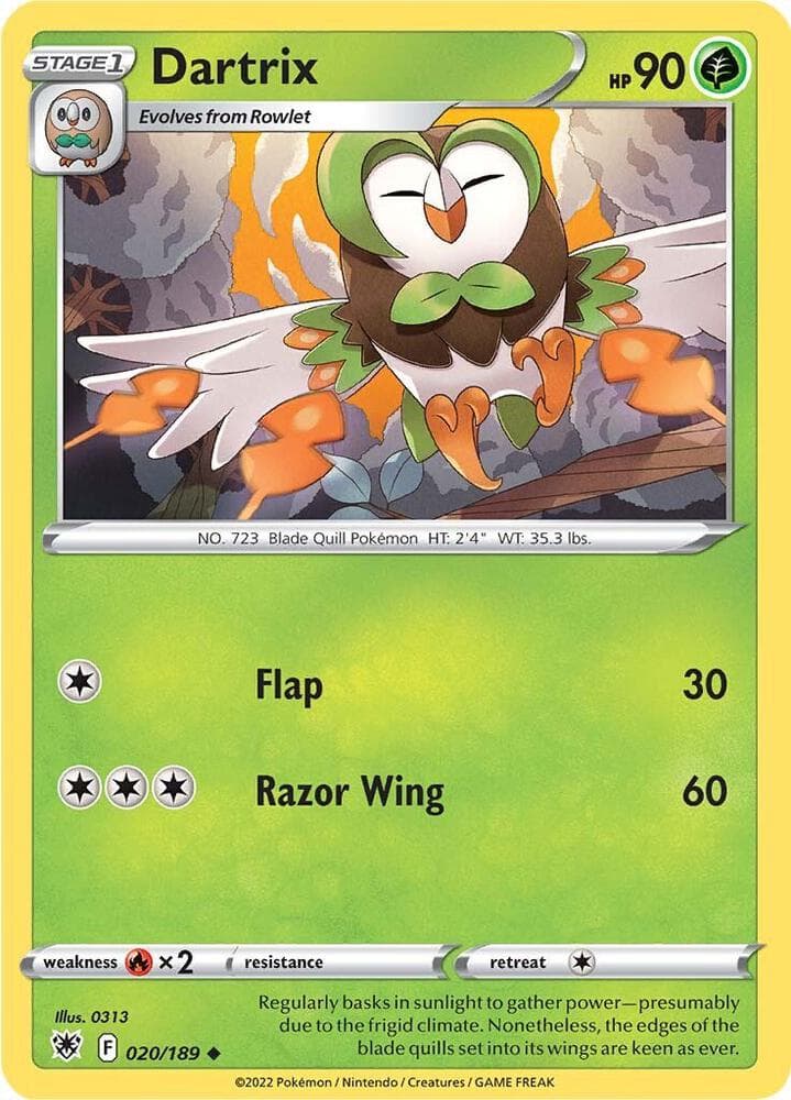 Dartrix Stage 1