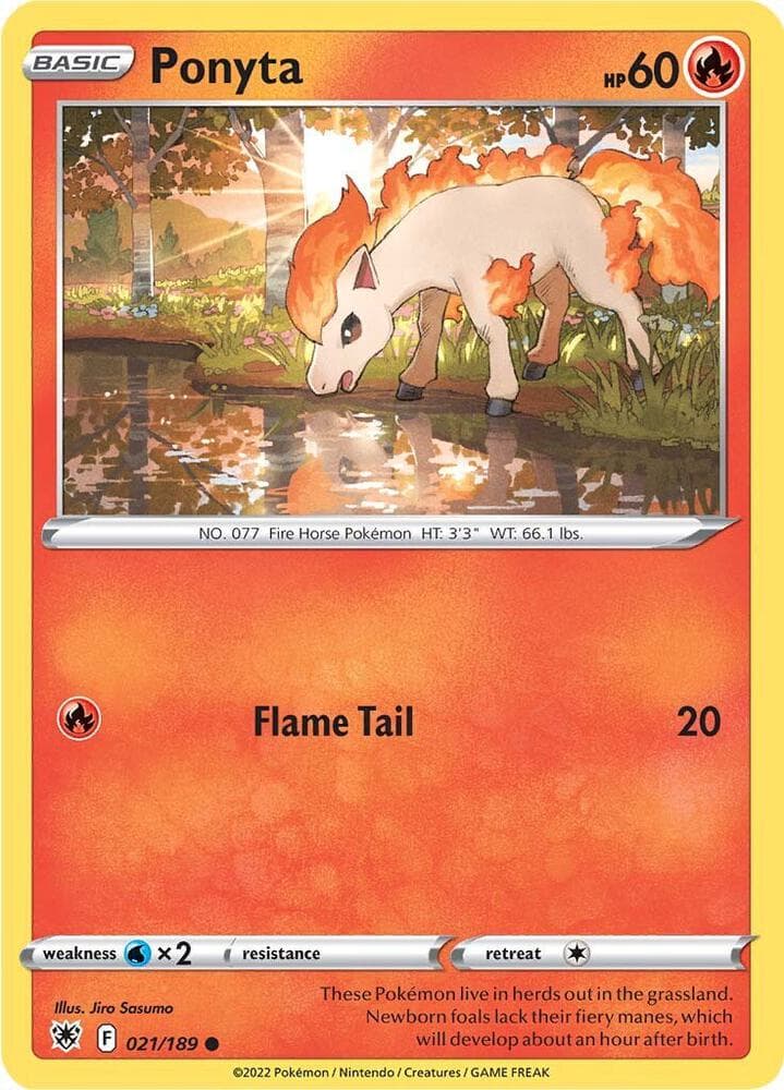 Ponyta Basic