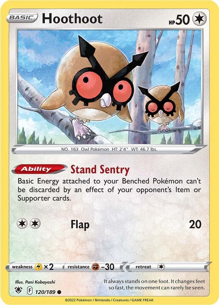 Hoothoot Basic