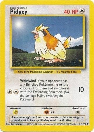Pidgey Basic