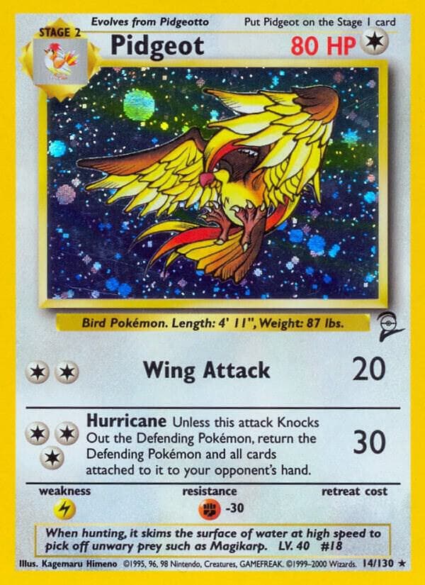 Pidgeot Stage 2