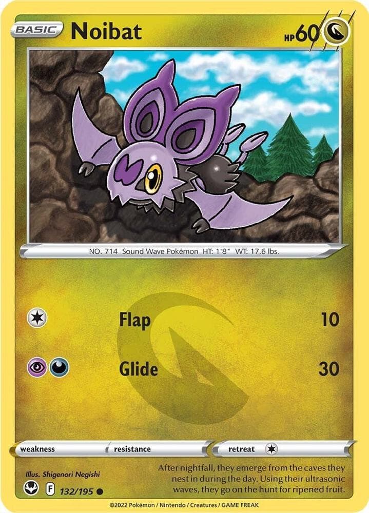 Noibat Basic