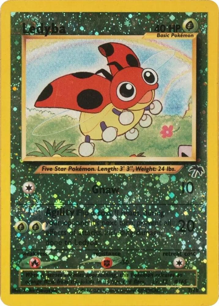 Ledyba Basic