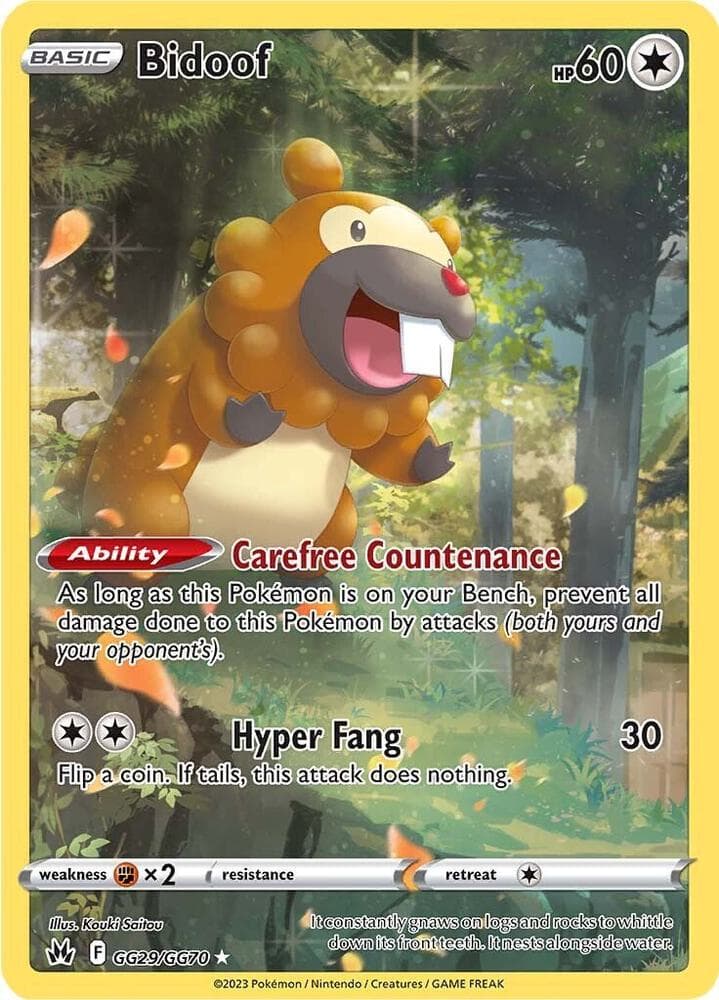 Bidoof Basic