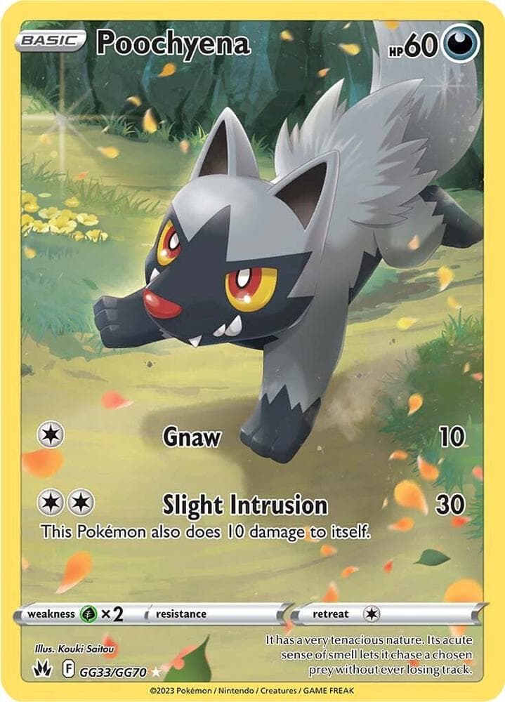 Poochyena Basic