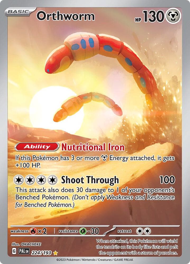 Orthworm Basic