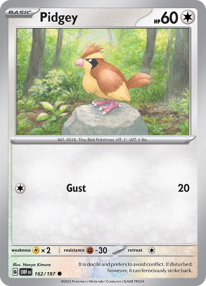 Pidgey Basic