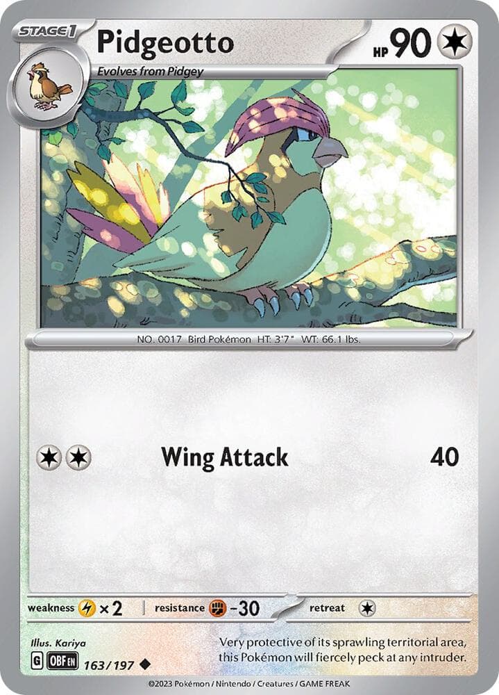 Pidgeotto Stage 1