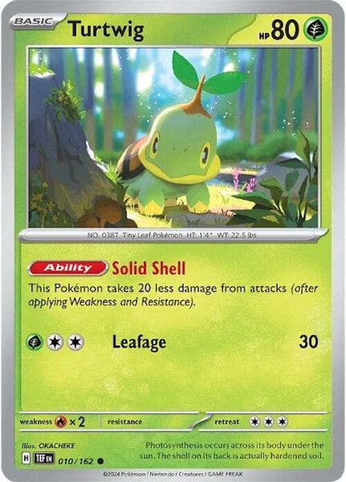 Turtwig Basic