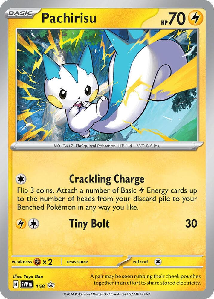Pachirisu 158 Basic