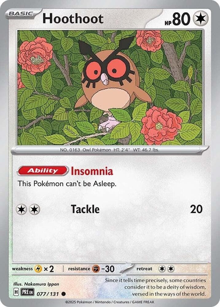 Hoothoot Basic
