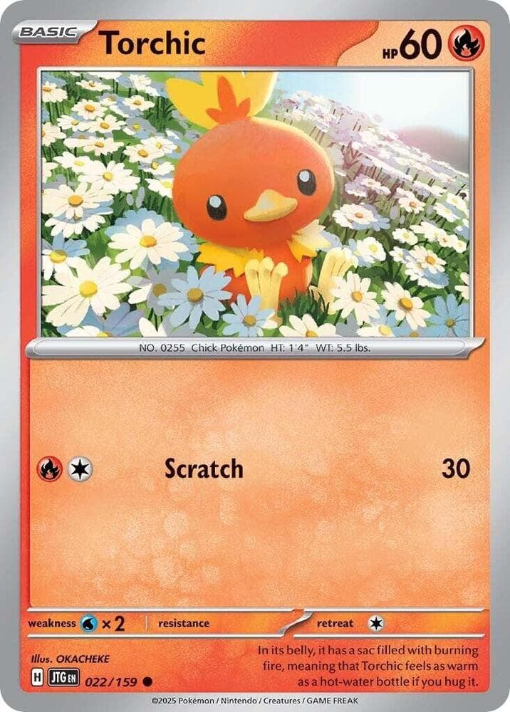 Torchic Basic