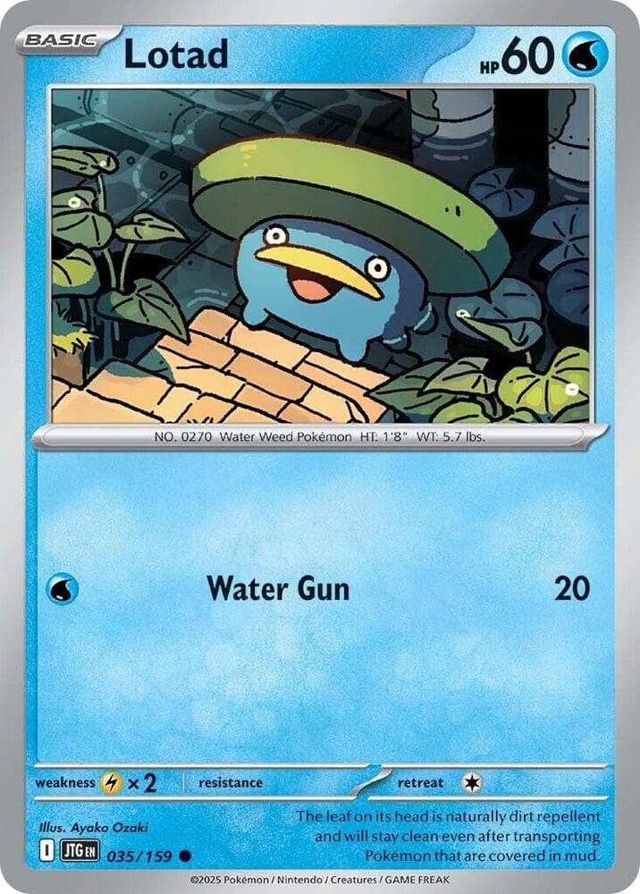 Lotad Basic